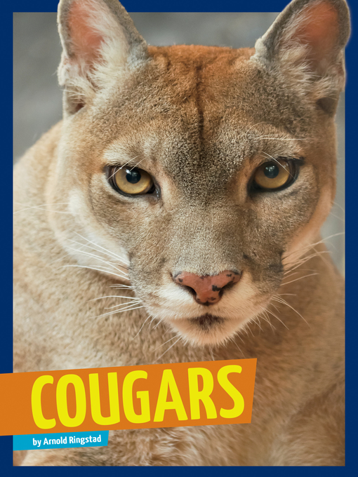 Title details for Cougars by Arnold Ringstad - Available